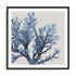 Azure Reef II Wall Art