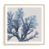 Azure Reef II Wall Art