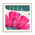 Pop Of Poppy Wall Art