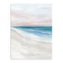 Coastal Serenity II Wall Art