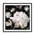 Pink Harvest II Wall Art #oran_black-white-border