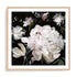 Pink Harvest II Wall Art #oran_natural-white-border