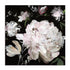 Pink Harvest II Wall Art