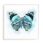 Winged Beauty Wall Art