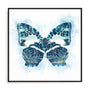 Wings Of Color Wall Art