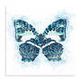 Wings Of Color Wall Art