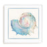 Seashell Serenade II Wall Art #oran_white-white-border