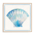 Seashell Serenade III Wall Art