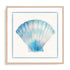 Seashell Serenade III Wall Art #oran_natural-white-border