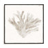 Sandy Coral Drift I Wall Art