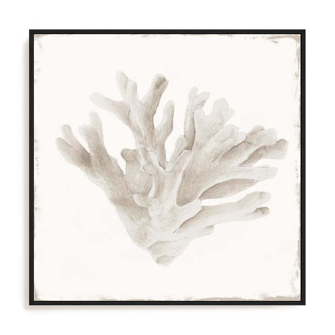 Sandy Coral Drift I Wall Art