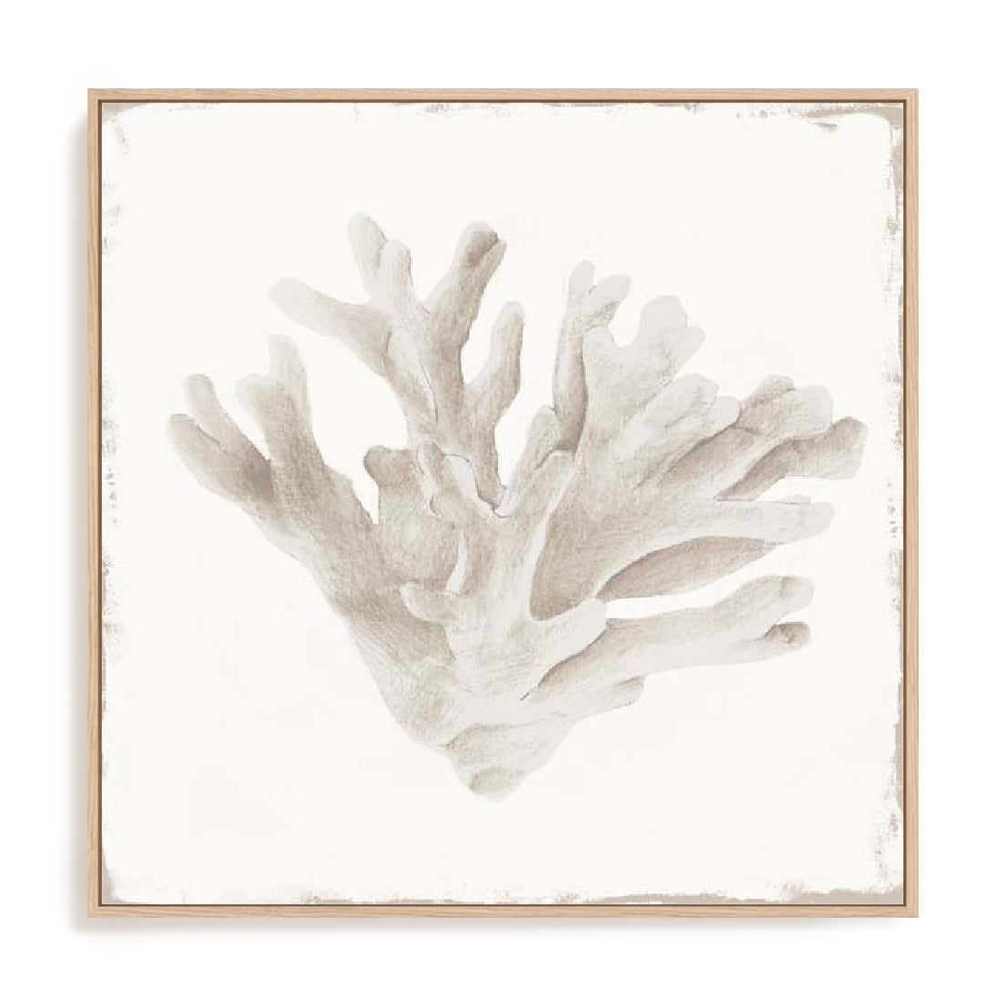 Sandy Coral Drift I Wall Art