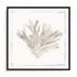 Sandy Coral Drift I Wall Art #oran_black-white-border