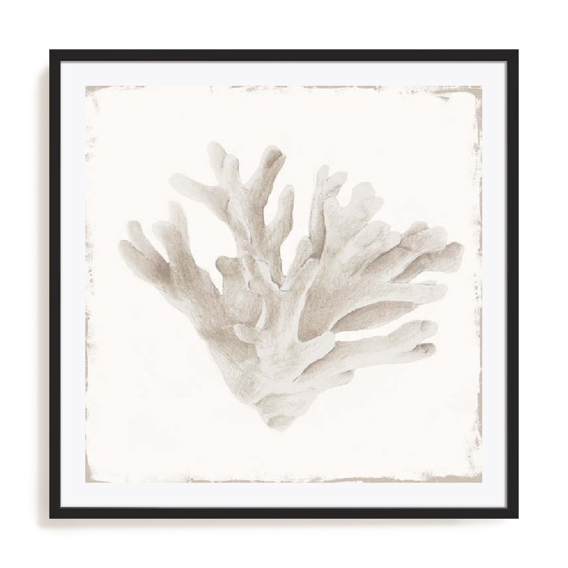 black-white-border