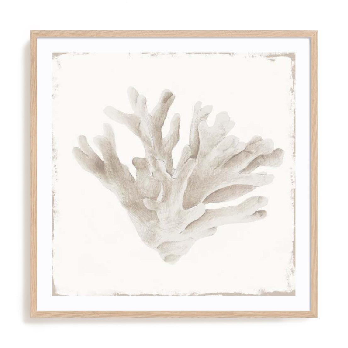 natural-white-border