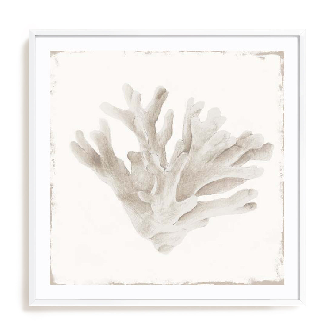 white-white-border