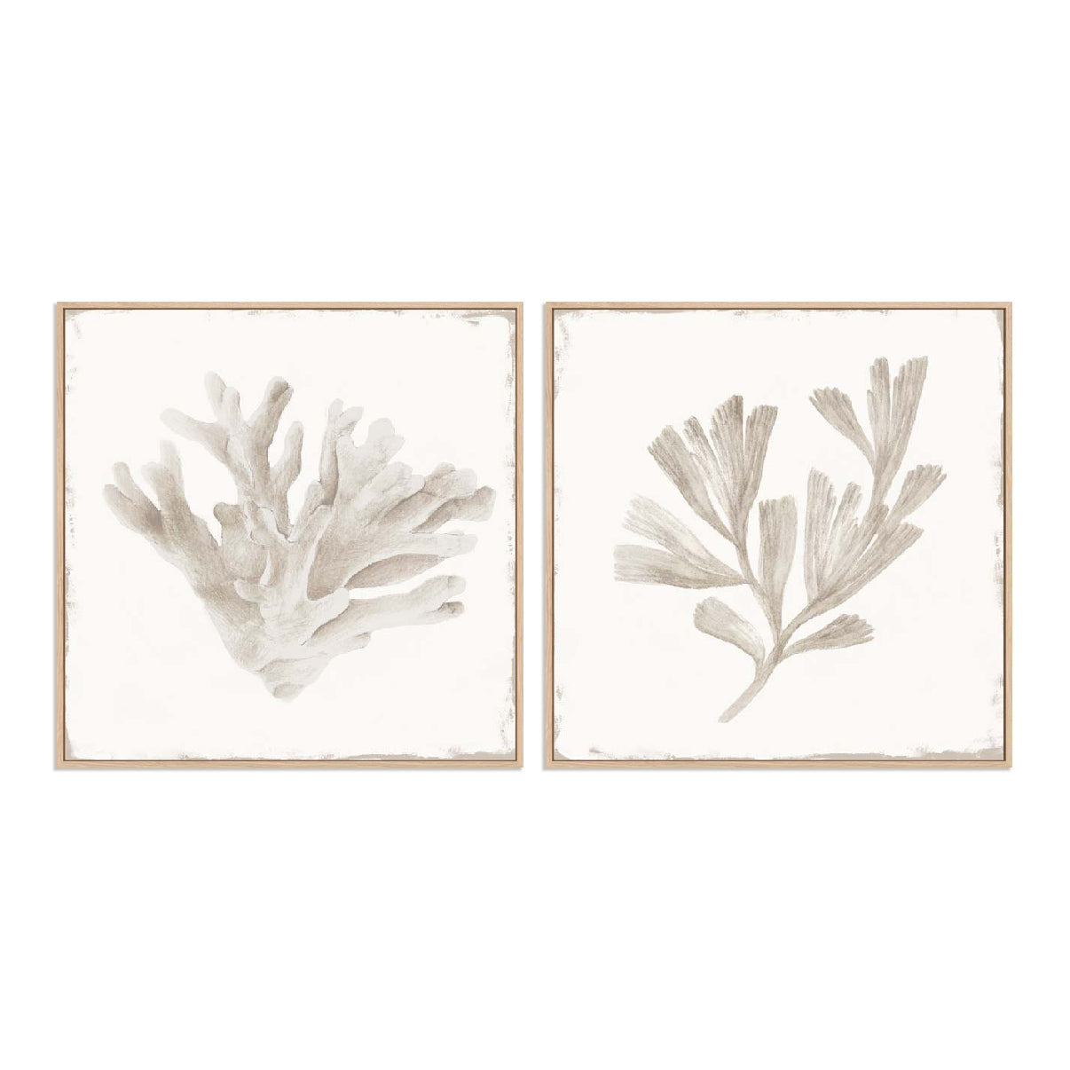 Sandy Coral Drift I and II Wall Art