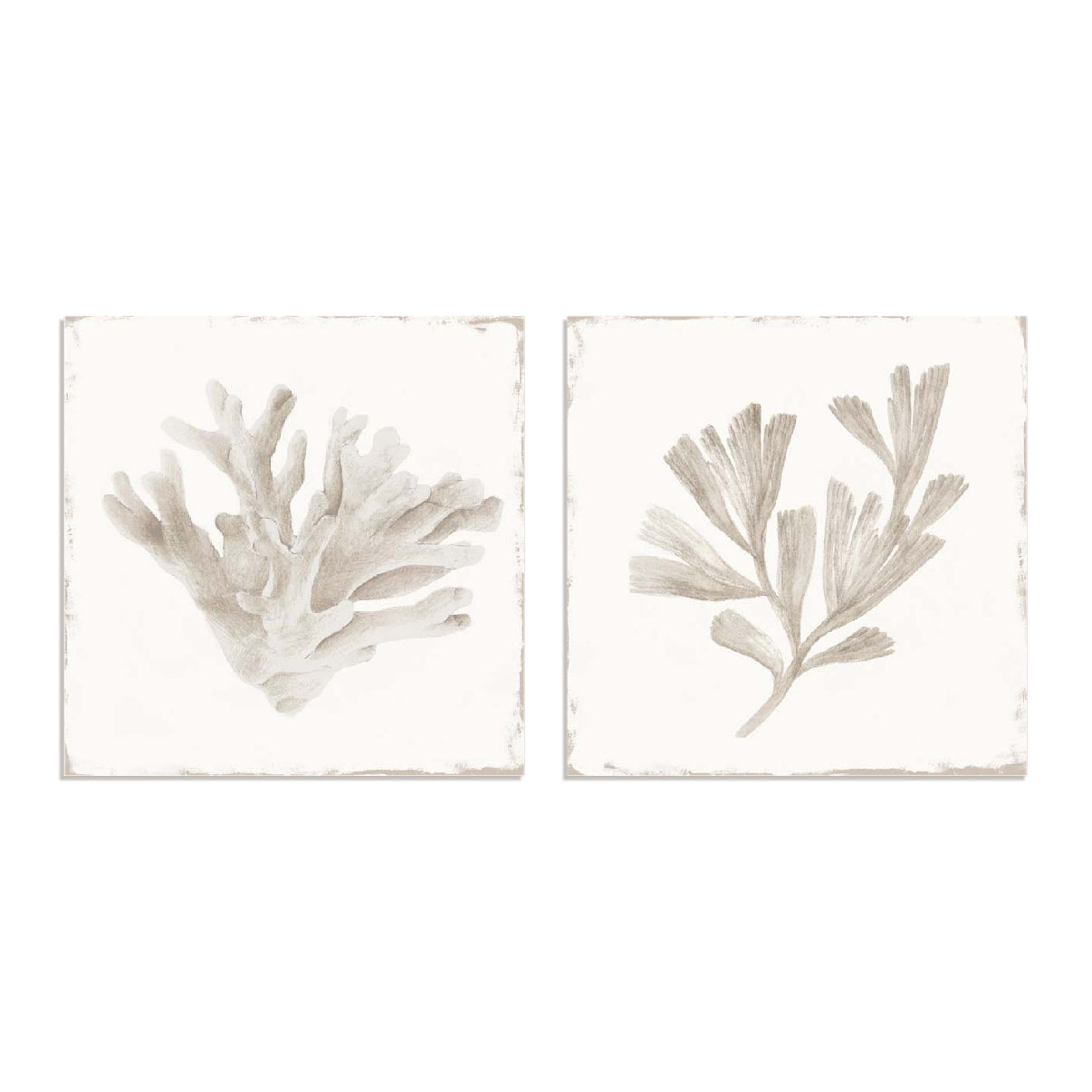 Sandy Coral Drift I and II Wall Art