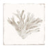 Sandy Coral Drift I Wall Art