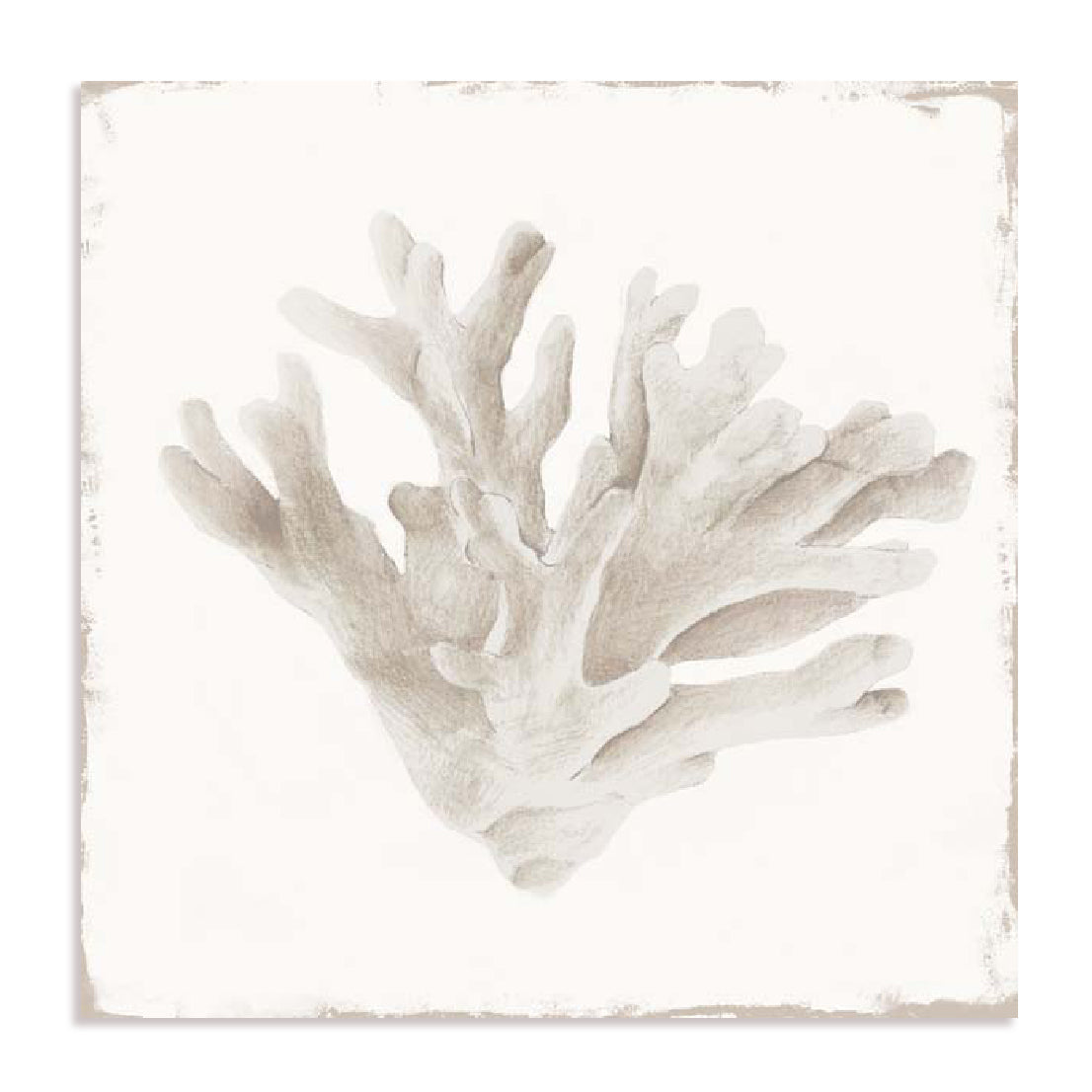 Sandy Coral Drift I Wall Art
