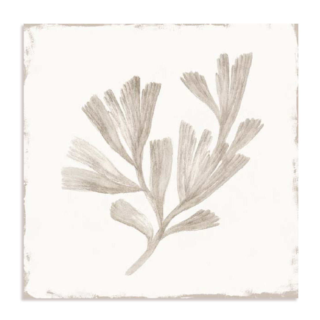 Sandy Coral Drift II Wall Art