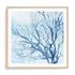 Blue Coral Life Wall Art