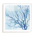 Blue Coral Life Wall Art