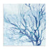 Blue Coral Life Wall Art