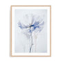 Celestial Petals II Wall Art