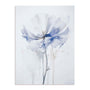 Celestial Petals II Wall Art