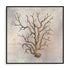 Fragile Beauty Of The Sea I Wall Art