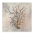 Fragile Beauty Of The Sea I Wall Art