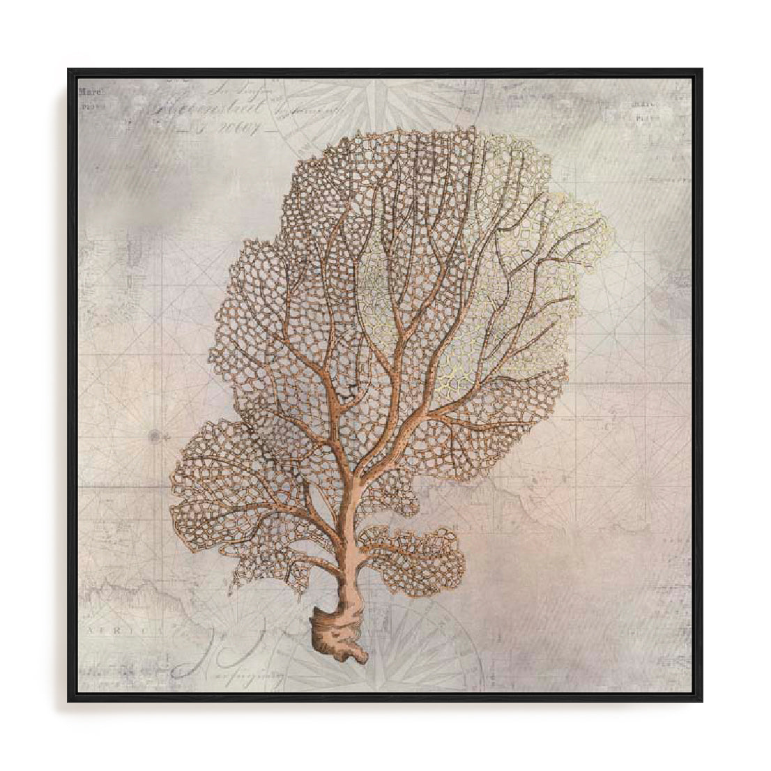 Fragile Beauty Of The Sea II Wall Art