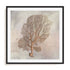 Fragile Beauty Of The Sea II Wall Art #oran_black-white-border