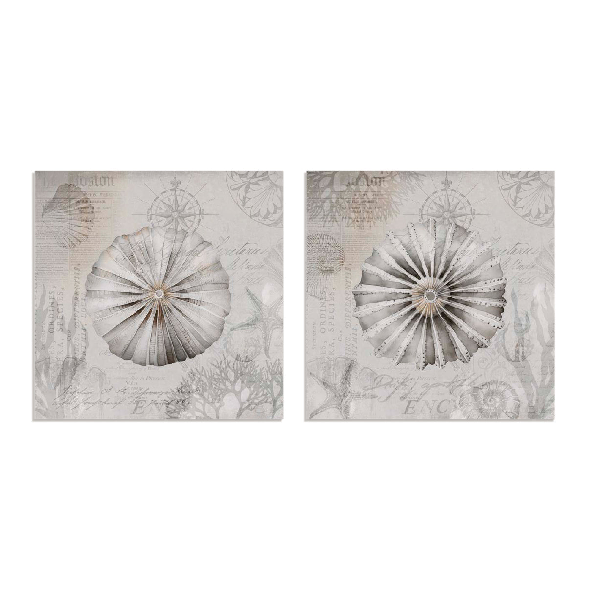 Mystic Ocean Tale I and II Wall Art