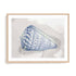 Soft Blue Shell II Wall Art