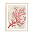Red Coral Reef I Wall Art