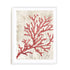 Red Coral Reef I Wall Art