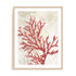 Red Coral Reef II Wall Art