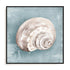 Whispers Of The Shore II Wall Art