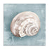 Whispers Of The Shore II Wall Art