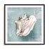 Whispers Of The Shore III Wall Art #oran_black-white-border