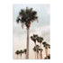 Tall Palms Wall Art
