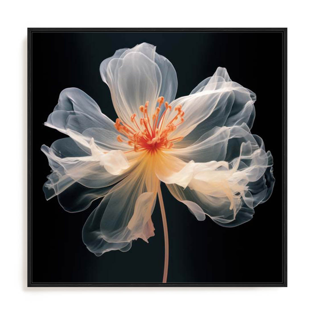 Black Pink Translucent Flower I Wall Art