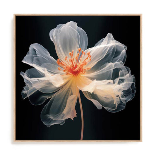 Black Pink Translucent Flower I Wall Art