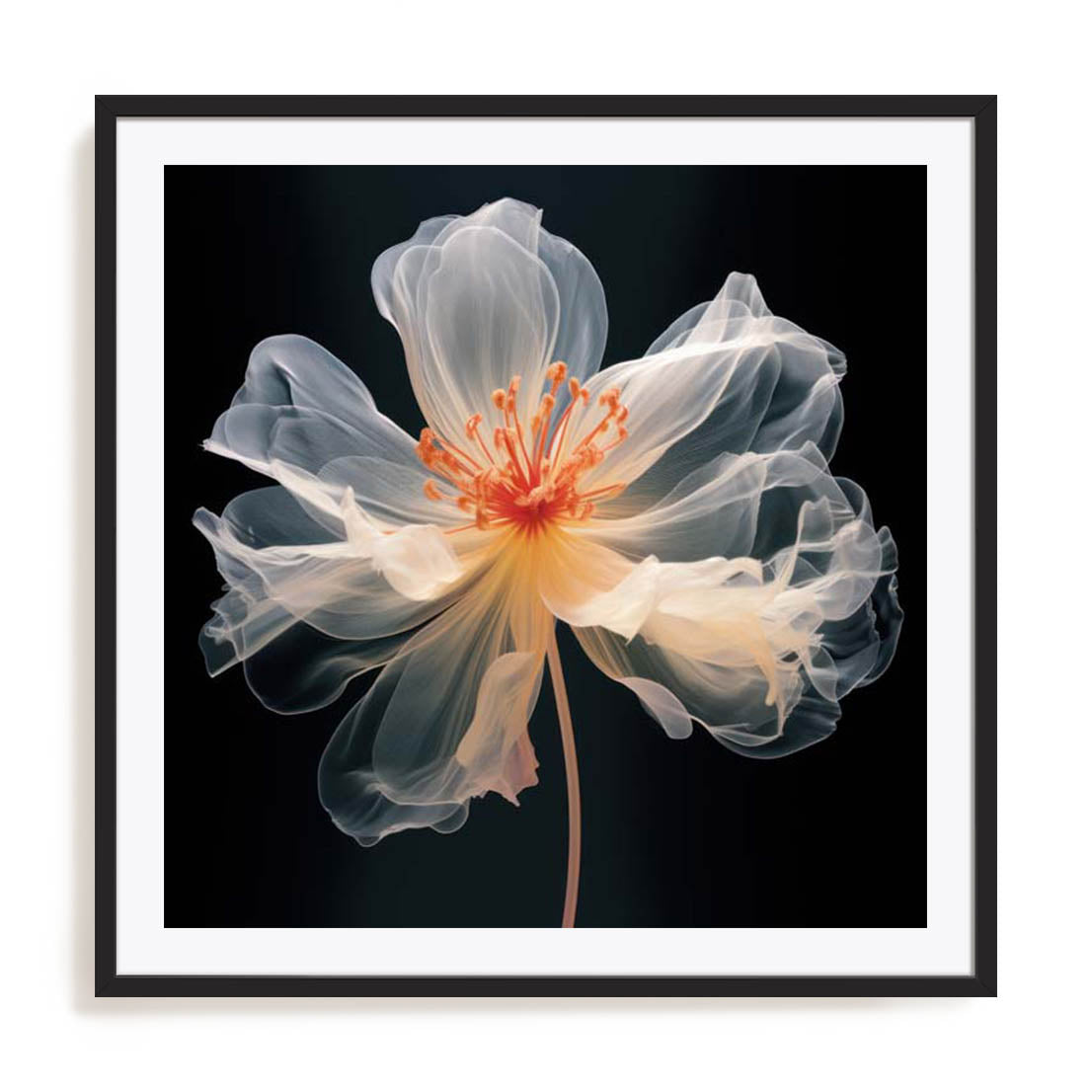 Black Pink Translucent Flower I Wall Art