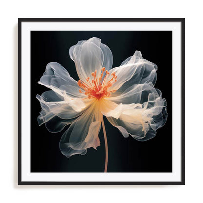 Black Pink Translucent Flower I Wall Art