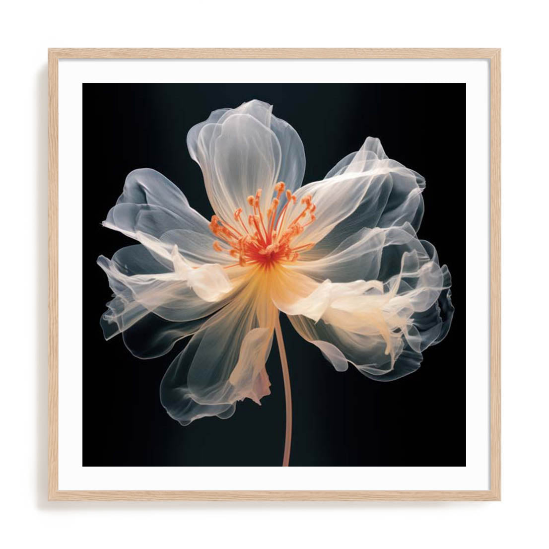 Black Pink Translucent Flower I Wall Art