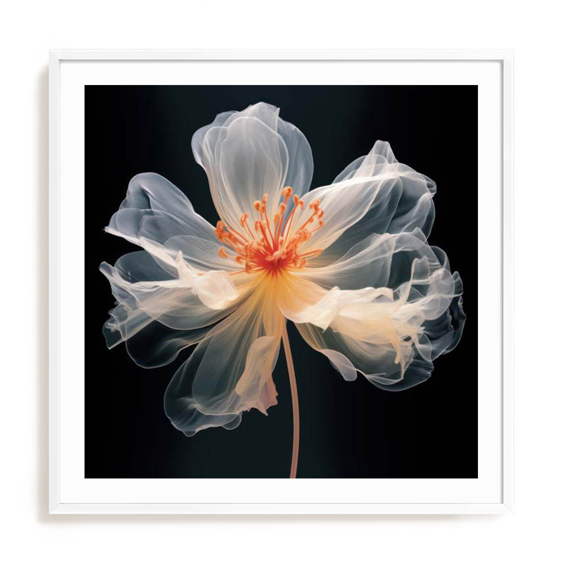 Black Pink Translucent Flower I Wall Art