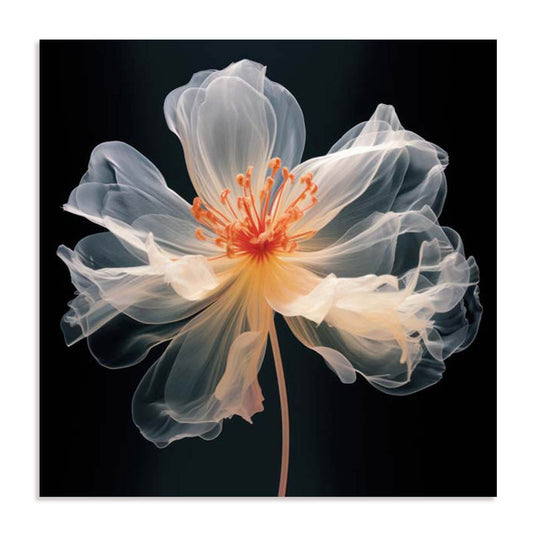 Black Pink Translucent Flower I Wall Art